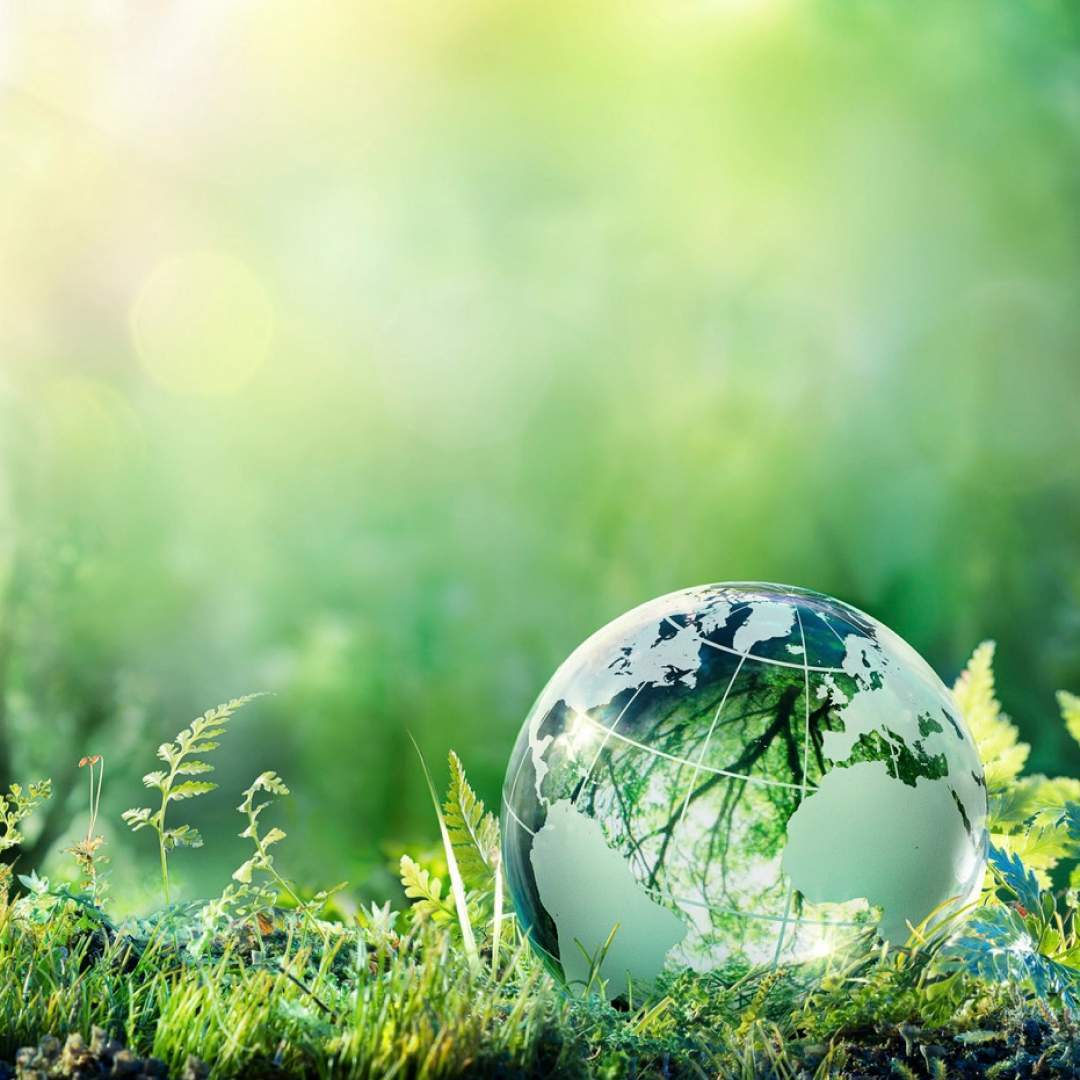 Environmental Rights: 3 Important Lessons From the Quran