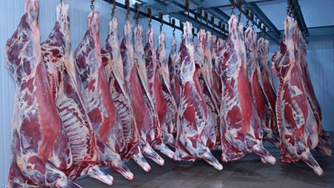 Punjab Authorities Seize 420kg of Unfit Meat in Crackdown on Illegal Slaughterhouses
