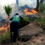 Massive Wildfire Engulfs Lower Dir's Adenzai Mountains; Firefighting Efforts Intensify