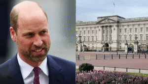 Buckingham Palace Announces Prince William’s Homewards Initiative Milestone