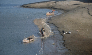 Activists Warn of 'Colonised' Indus River as Canal Projects Spark Widespread Protests in Sindh