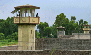 Punjab Government Suspends 5 Officials Over Alleged Torture of Prisoners at Attock Jail