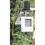 Punjab Embraces Automated Rainfall Monitoring in Major Technological Shift